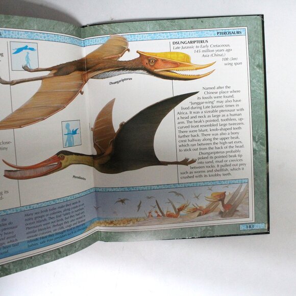 Encyclopedia of Dinosaurs and Other Prehistoric Creatures Hardback Reference - Picture 9 of 16